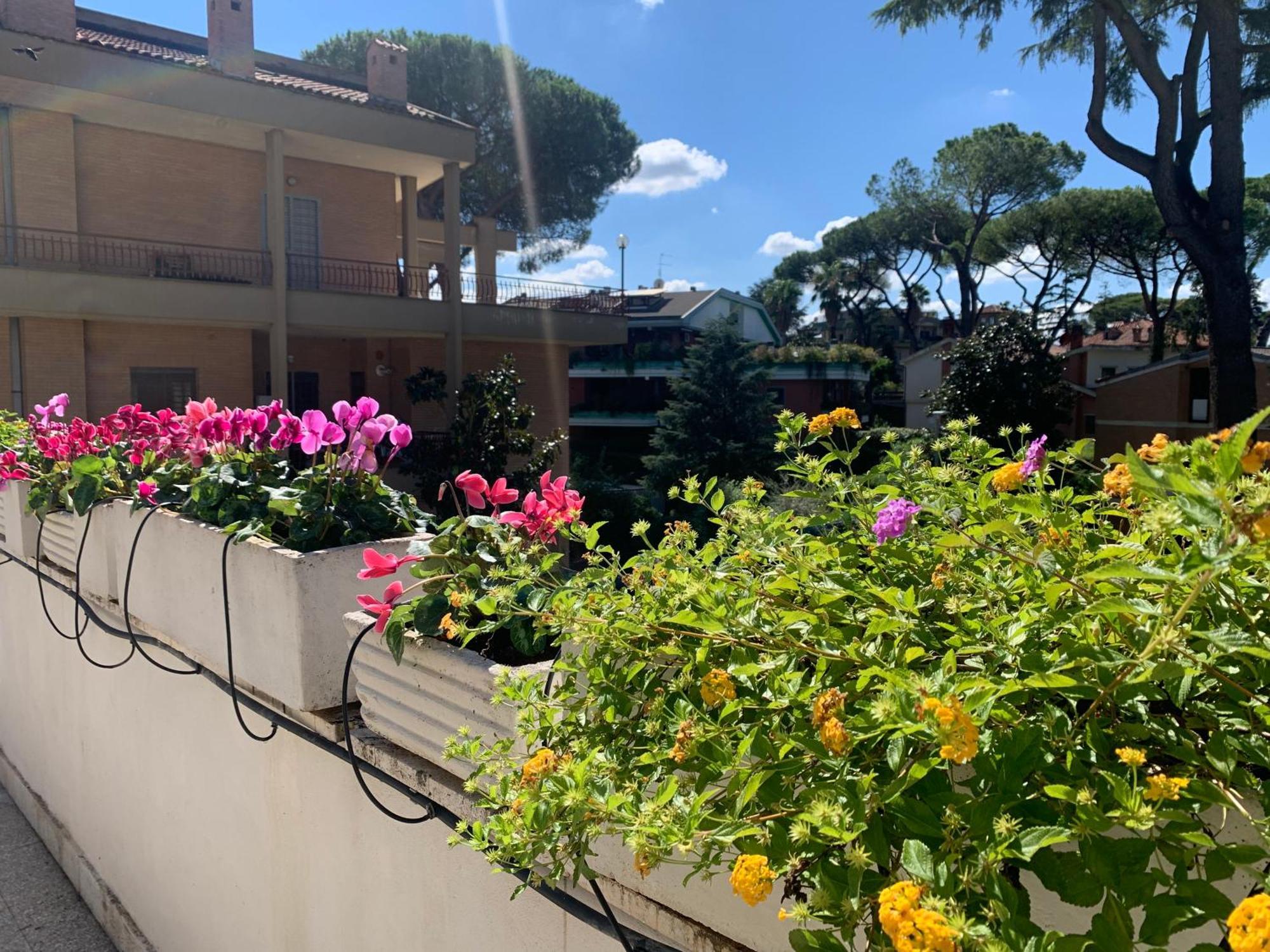 Villa Orsini — Fotos 1